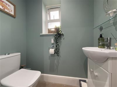 Picture 12